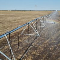 Dicor Land a adus ploaia în Câmpia Bărăganului - Dicor Land a adus ploaia în Câmpia Bărăganului - Dicorland