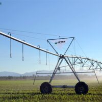 LINIARA – Irtec - LINIARA - Irtec - Dicorland