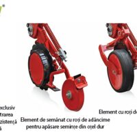 semanatoare dp pronta