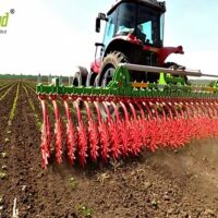 SUNRISE – Madara - SUNRISE - Madara - Dicorland