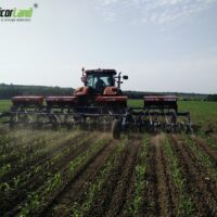 untitled design 2 1 1