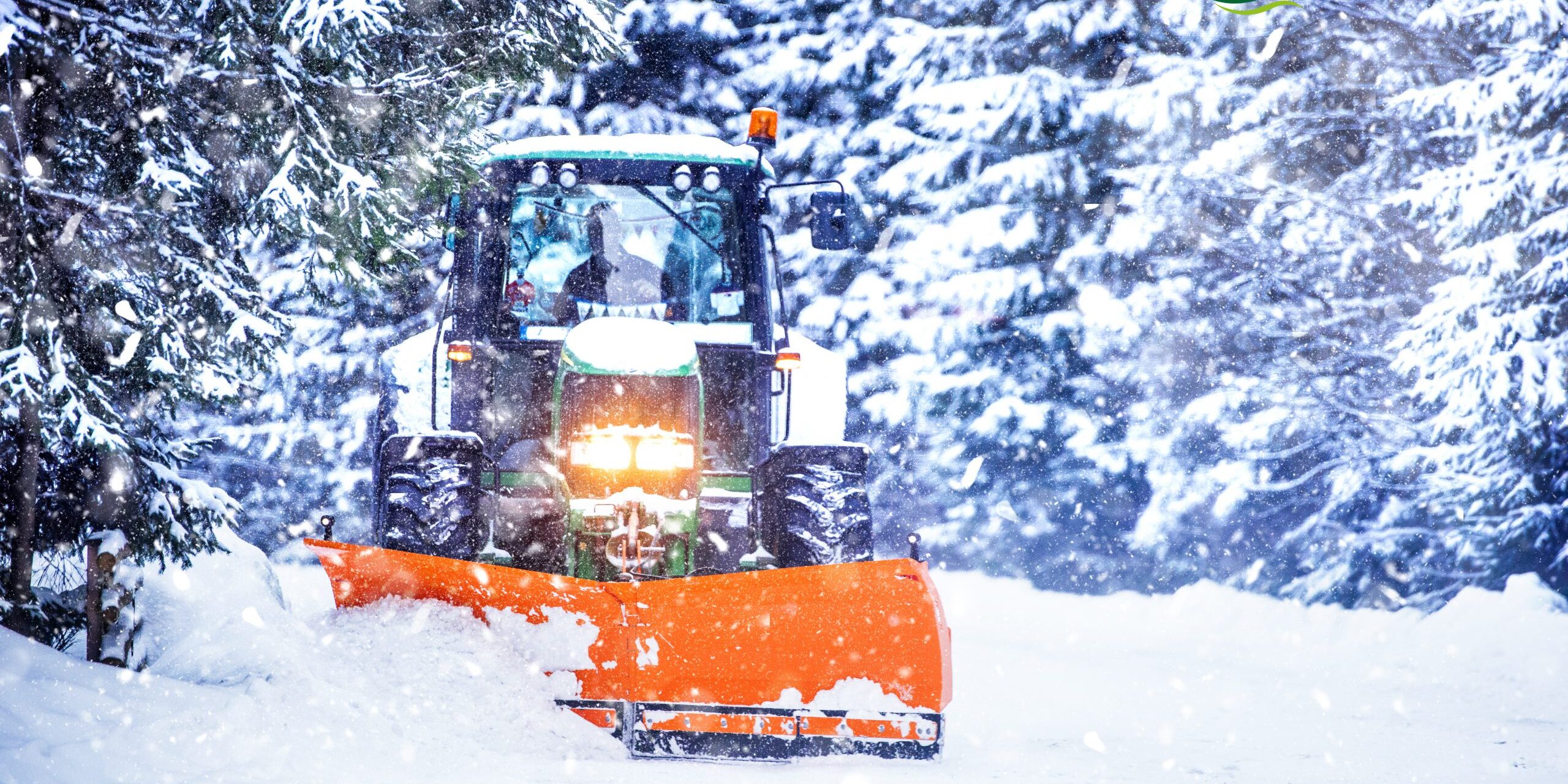 shutterstock_1007563603 (1) Vine iarna! Dicor Land vă utilează corespunzător! - Vine iarna! Dicor Land vă utilează corespunzător! - Dicorland
