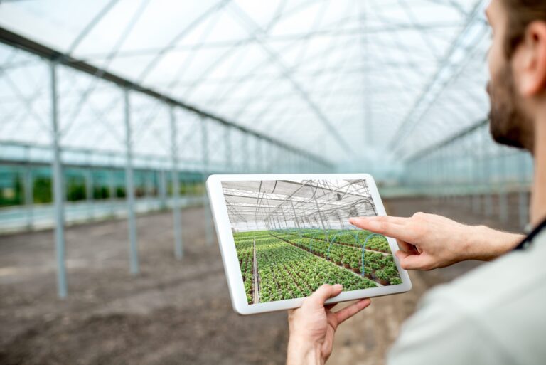 Agribusiness-ul românesc susține educația! - Agribusiness-ul românesc susține educația! - Dicorland