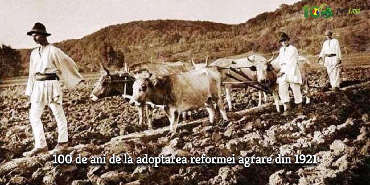 100 de ani de reformă agrară - 100 de ani de reformă agrară - Dicorland