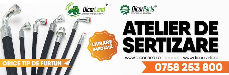 ATELIER DE SERTIZARE ORICE TIP DE FURTUN DICORLAND DICORPARTS