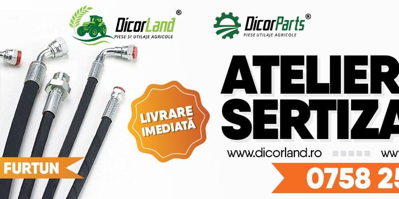ATELIER DE SERTIZARE ORICE TIP DE FURTUN DICORLAND DICORPARTS