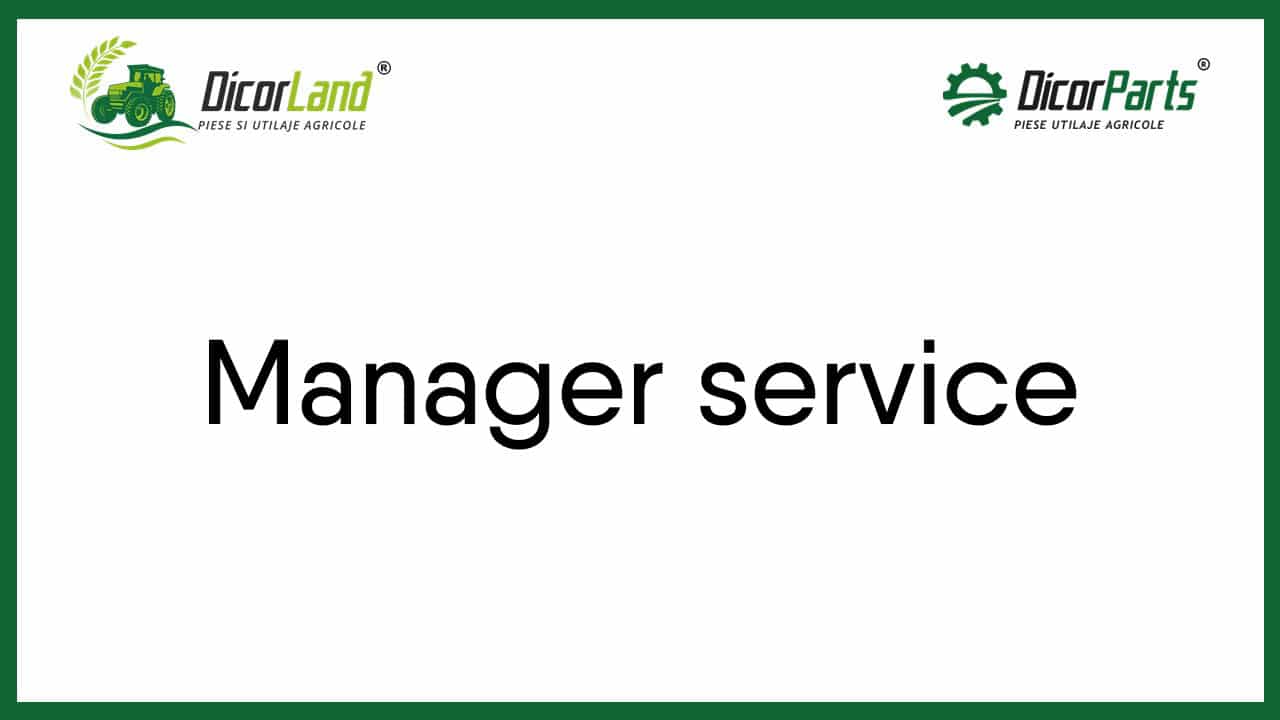 Manager service