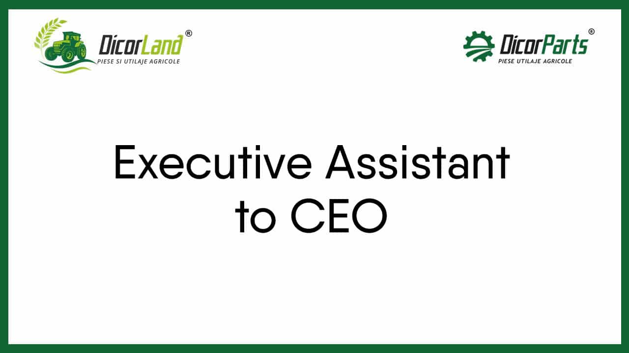 Executive Assistant to CEO