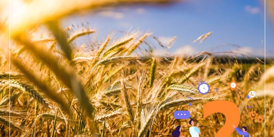 Știați că Fermierii trebuie să producă cu 70% mai multe alimente decât în prezent pentru a hrăni populația mondială în creștere până în 2050?