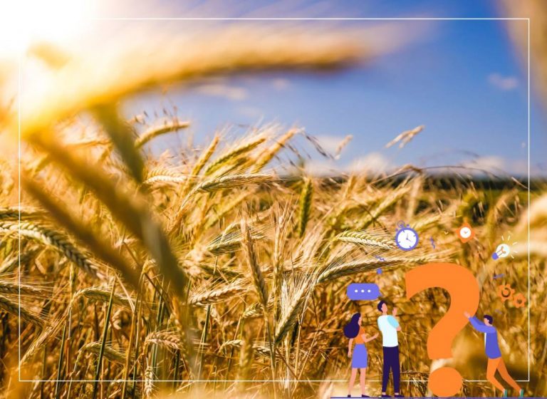 Știați că Fermierii trebuie să producă cu 70% mai multe alimente decât în prezent pentru a hrăni populația mondială în creștere până în 2050?