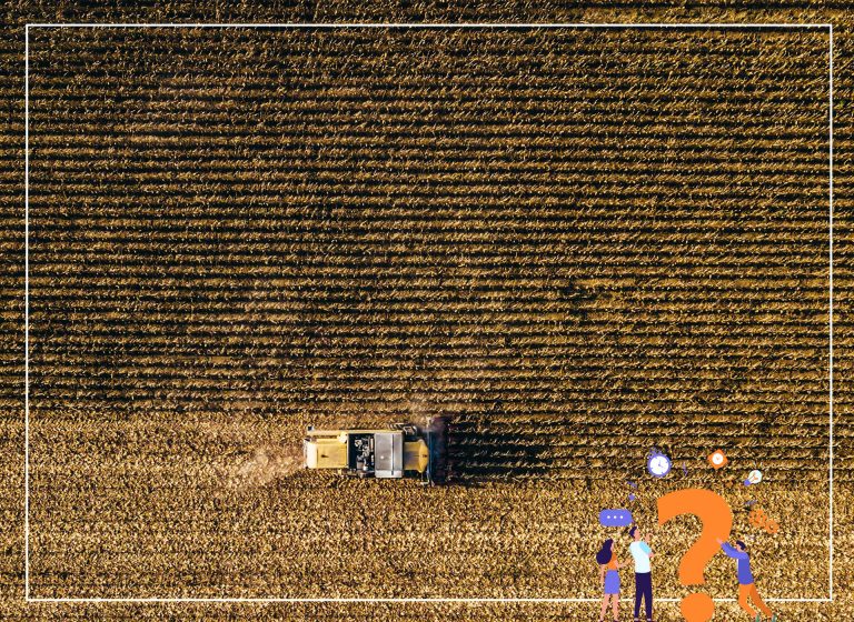 Știați că: agricultura este cel mai mare angajator din lume? - Dicorland