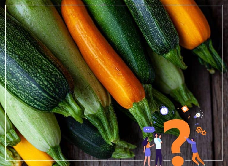 Știați că: Dovleceii nu sunt legume? - Știați că: Dovleceii nu sunt legume? - Dicorland