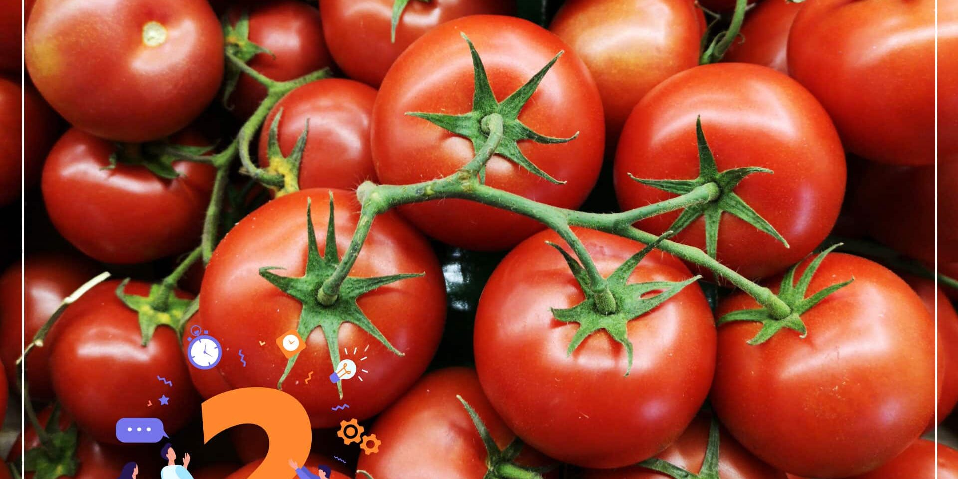 rosii Știați că: 1 gram de semințe poate produce 9 tone de roșii? - Știați că: 1 gram de semințe poate produce 9 tone de roșii? - Dicorland