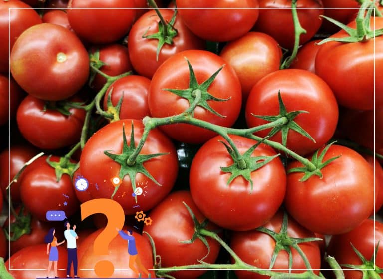 Știați că: 1 gram de semințe poate produce 9 tone de roșii? - Știați că: 1 gram de semințe poate produce 9 tone de roșii? - Dicorland