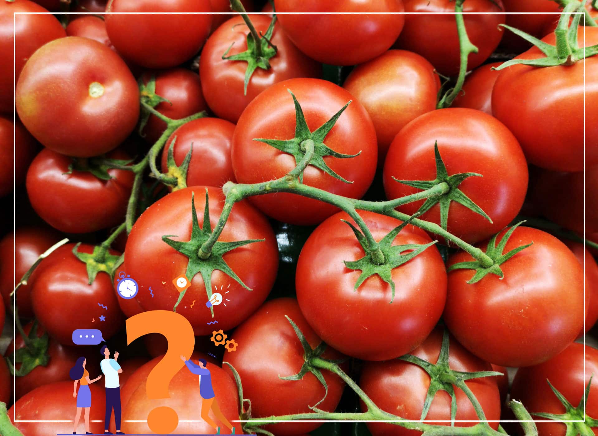 Știați că: 1 gram de semințe poate produce 9 tone de roșii?