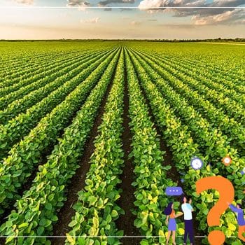 Știați că: Agricultura ecologică e de 10 ori mai profitabilă? - Știați că: Agricultura ecologică e de 10 ori mai profitabilă? - Dicorland