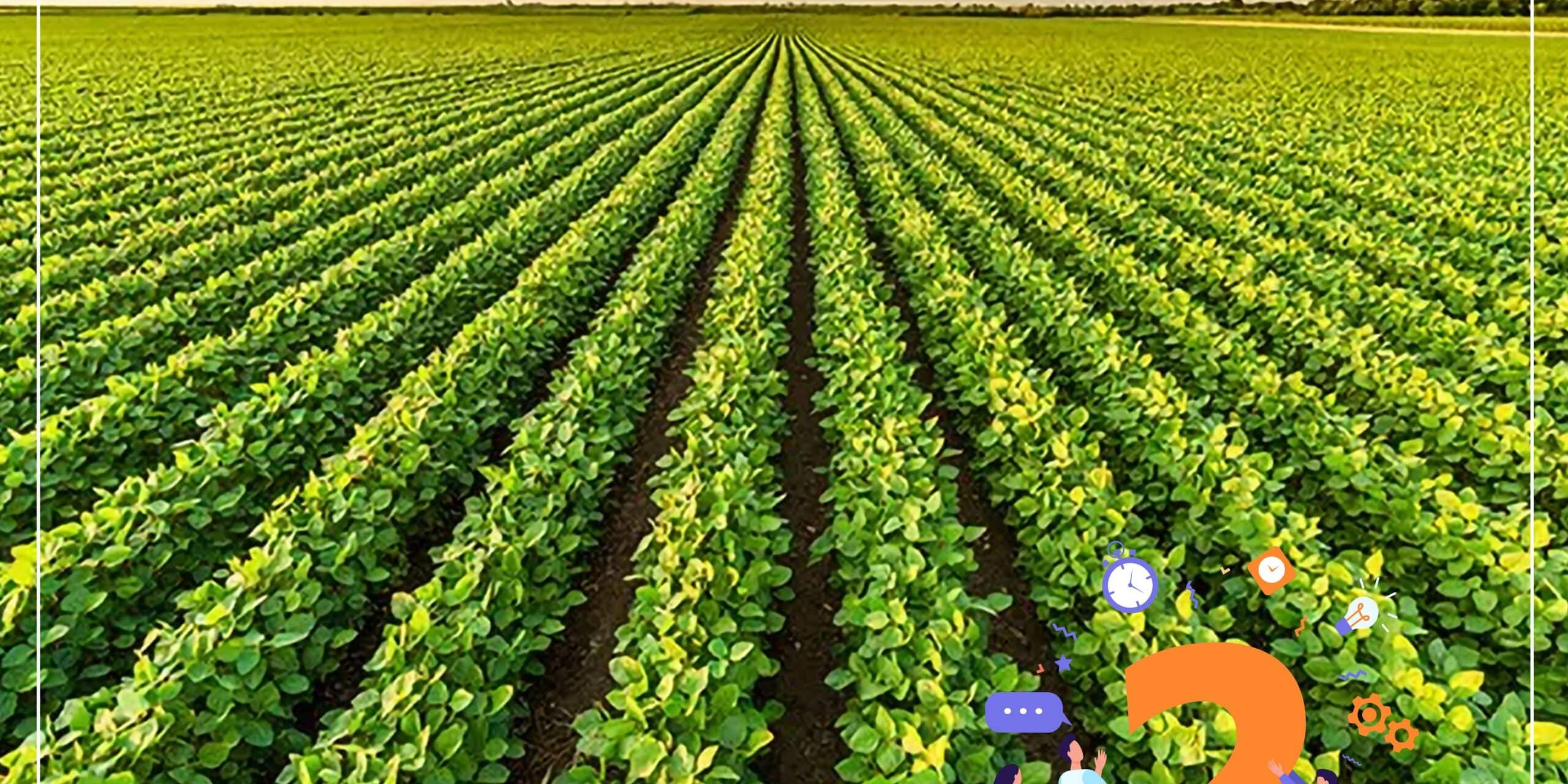 Știați că: Agricultura ecologică e de 10 ori mai profitabilă? - Știați că: Agricultura ecologică e de 10 ori mai profitabilă? - Dicorland