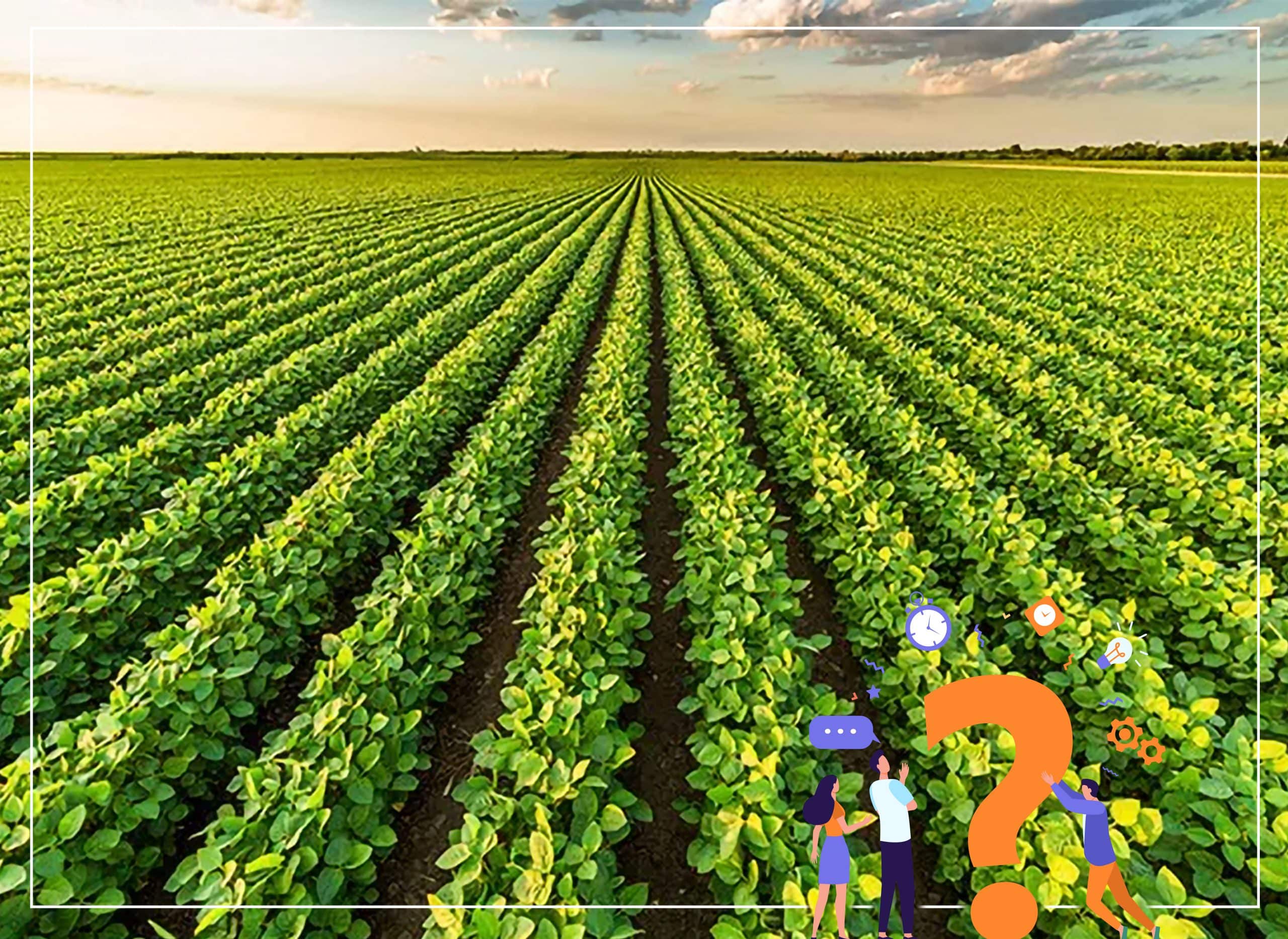 Știați că: Agricultura ecologică e de 10 ori mai profitabilă? - Știați că: Agricultura ecologică e de 10 ori mai profitabilă? - Dicorland