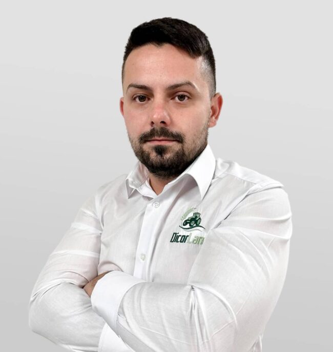 ALEXANDRU NAGY - Dicorland