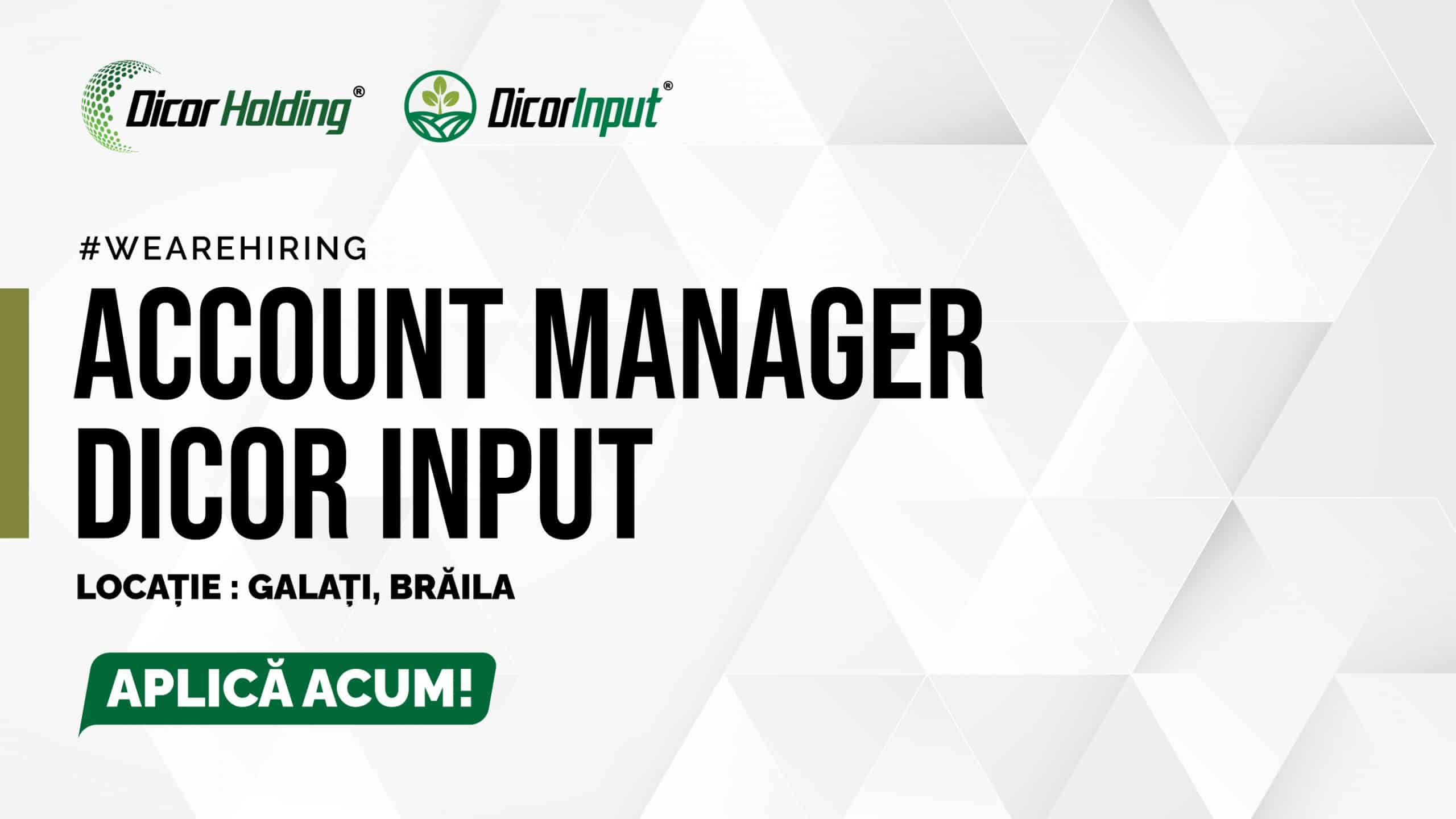 Account Manager Dicor Input