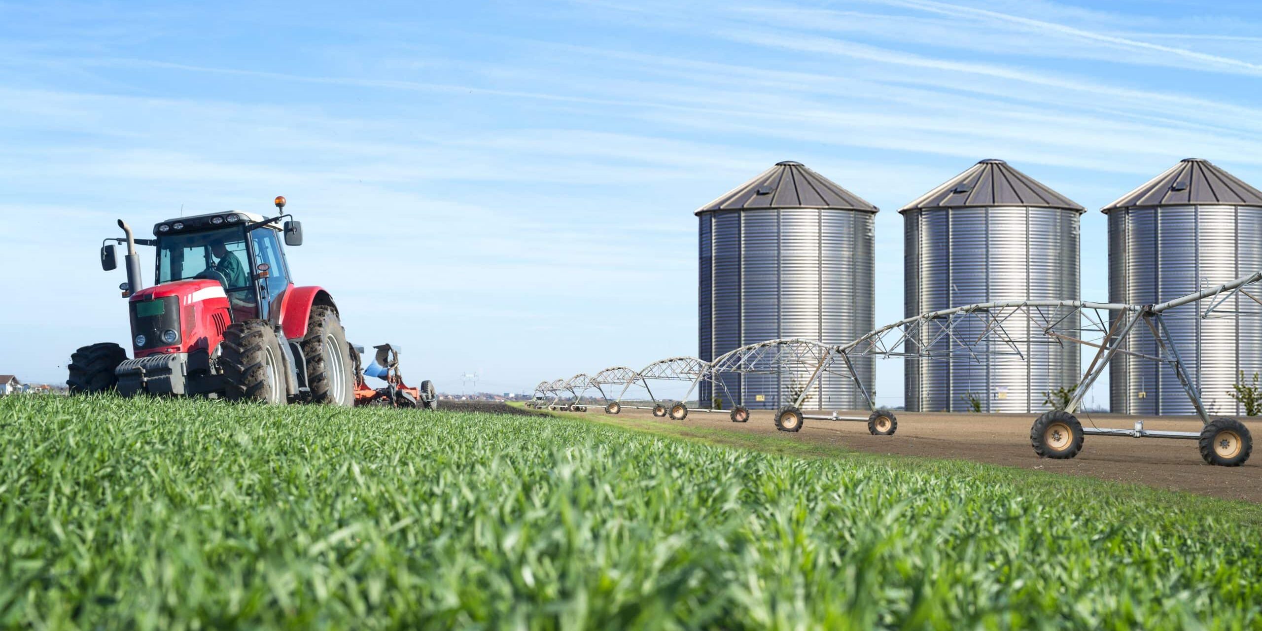 INS: Valoarea producției agricole în România a scăzut cu 15,8% în 2022