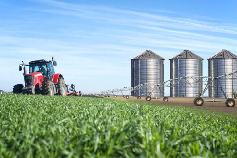 INS: Valoarea producției agricole în România a scăzut cu 15,8% în 2022