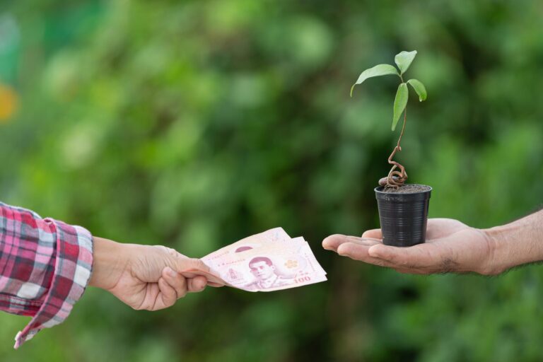 Sprijin financiar de 2 lei/litru pentru agricultorii din sectorul vegetal