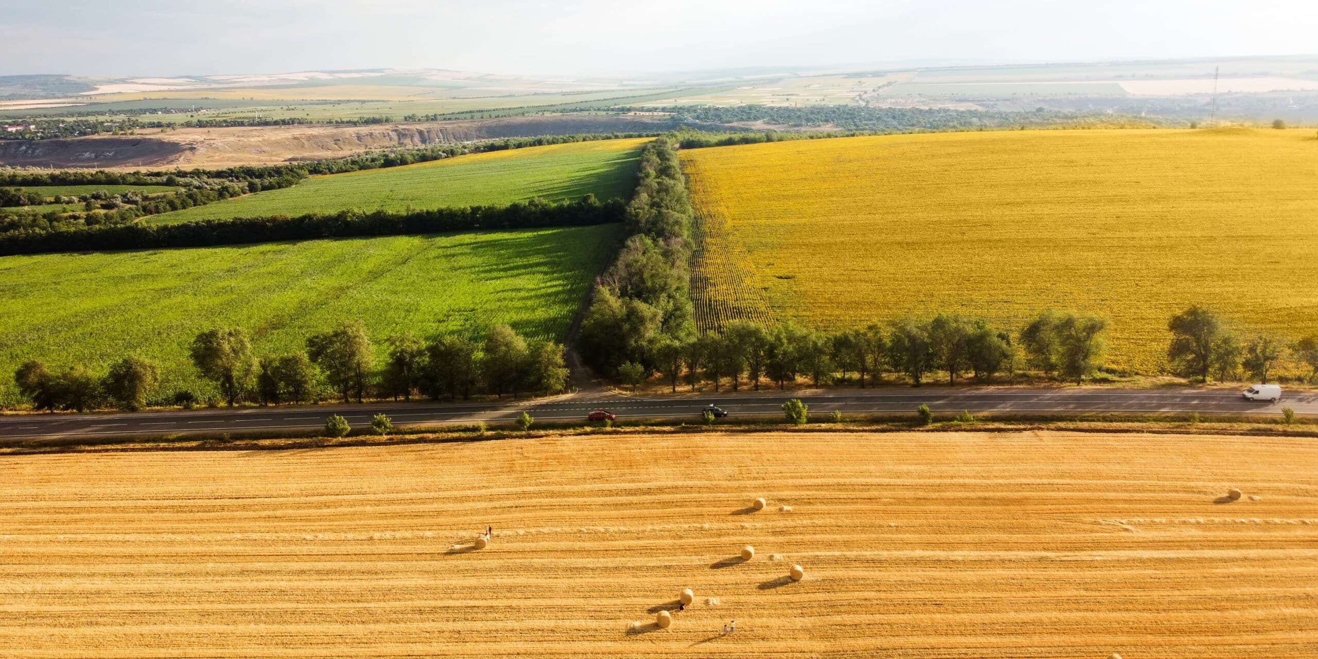 Perspective agricole 2023-2032: UE va deveni cea mai mare producătoare de grâu din lume în 10 ani