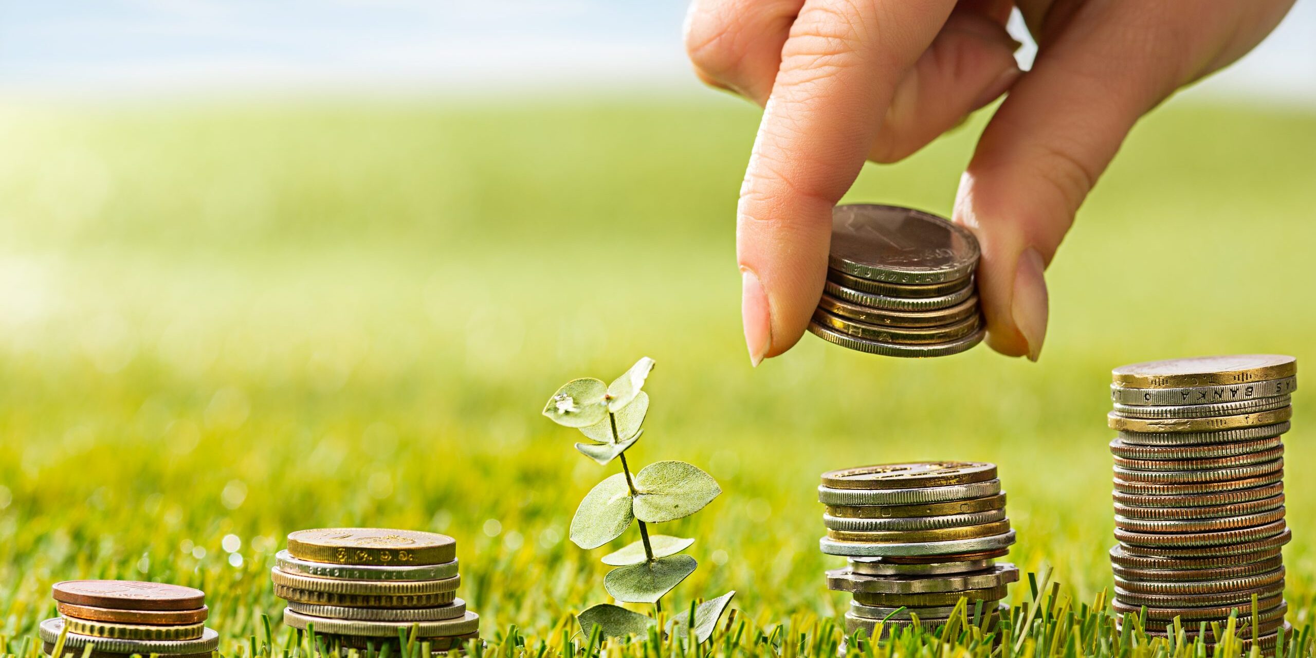 Investalim: proiecte ambițioase pentru agricultura și industria alimentară din România, la final de septembrie