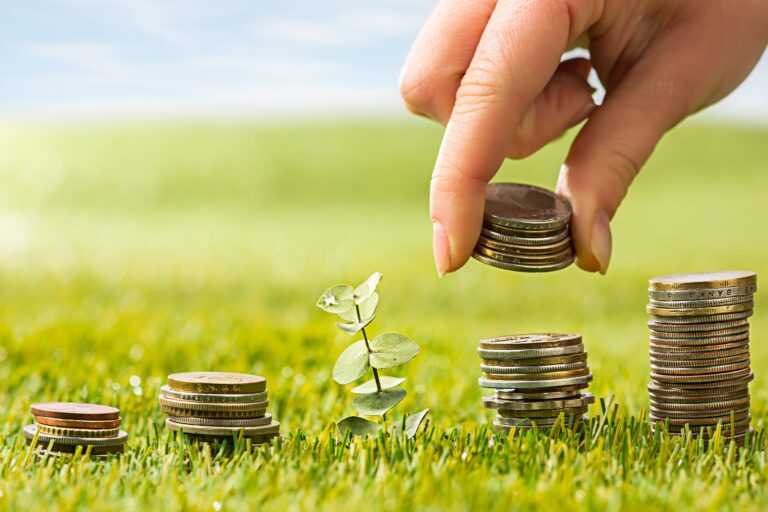 Investalim: proiecte ambițioase pentru agricultura și industria alimentară din România, la final de septembrie