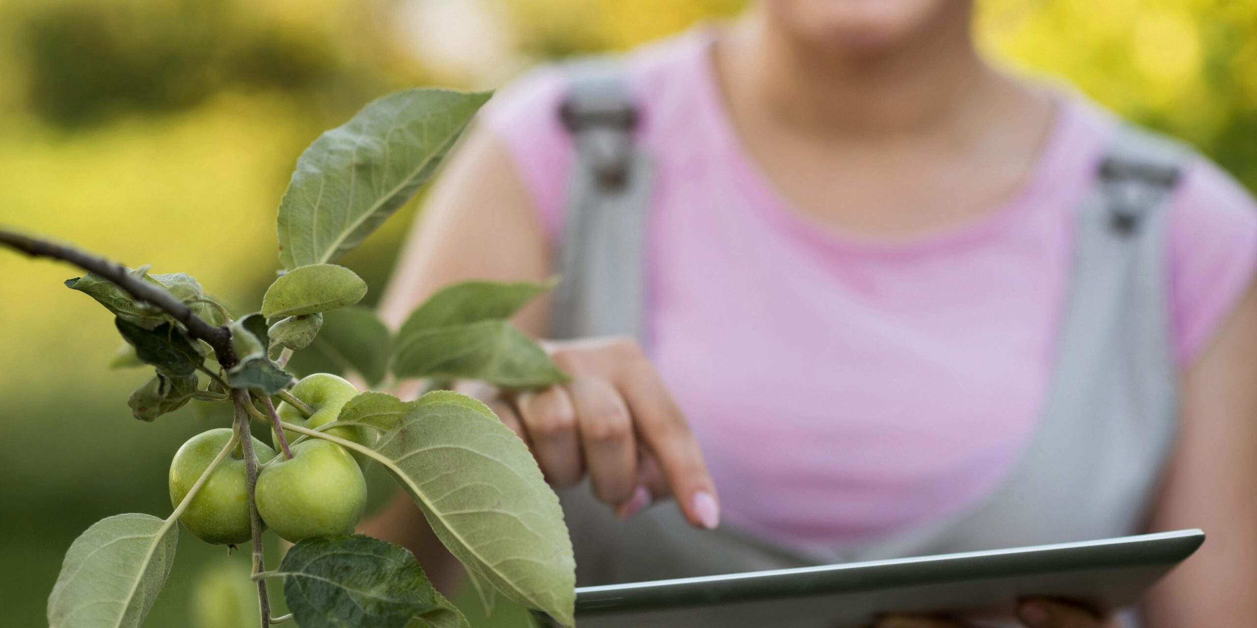 close-up-girl-EU Rural Toolkit: platformă digitală de agregare a proiectelor europene pentru dezvoltare rurală-tablet EU Rural Toolkit: platformă digitală de agregare a proiectelor europene pentru dezvoltare rurală