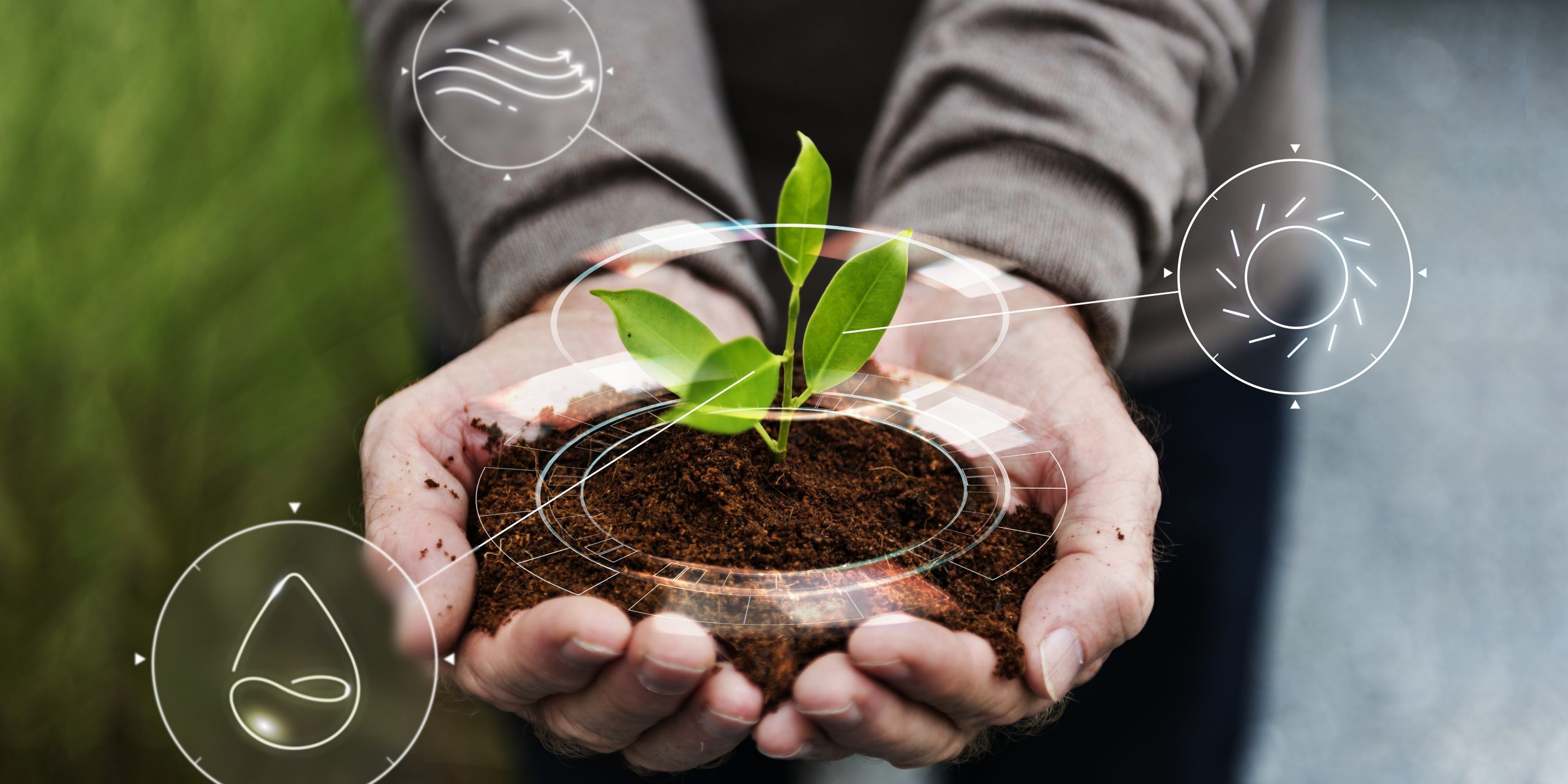 Smart agriculture IoT with hand planting tree background
