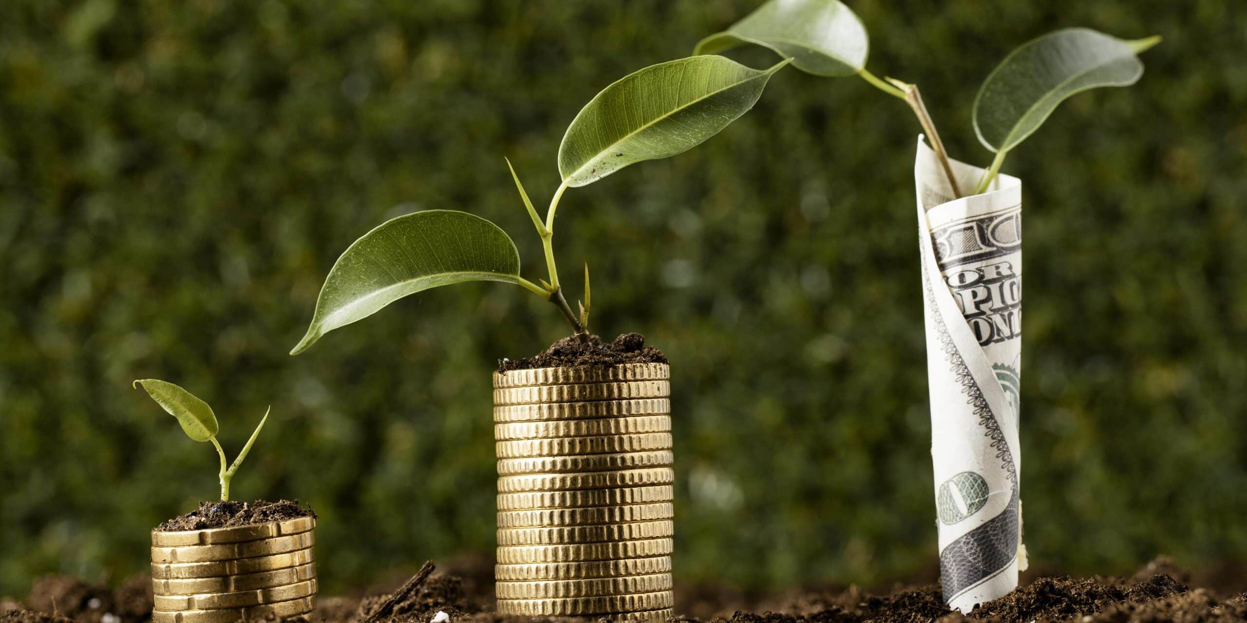 Comisia Europeană: Fondurile europene, esențiale în gestionarea crizelor din agricultură